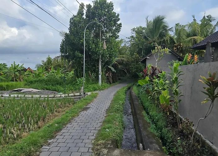 2br Pool Rice Field View Villa