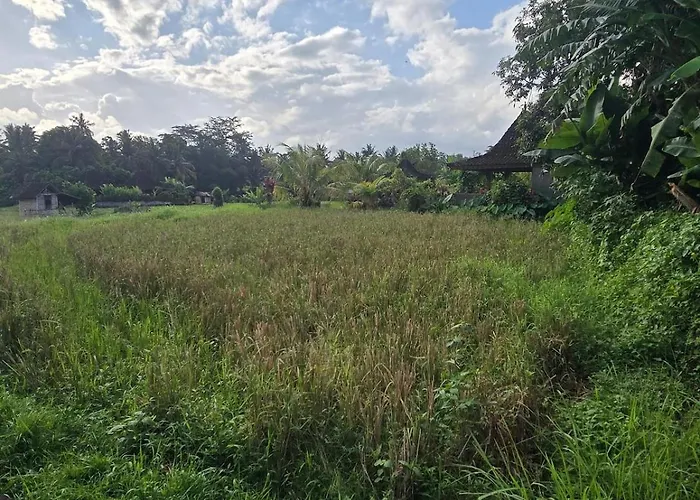 2br Pool Rice Field View Ubud