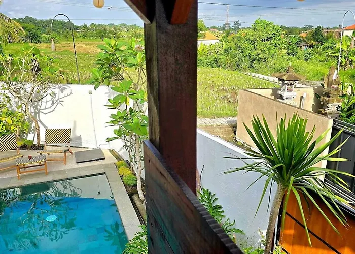 2br Pool Rice Field View