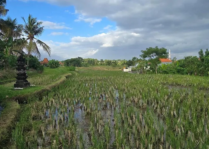 2br Pool Rice Field View * Ubud