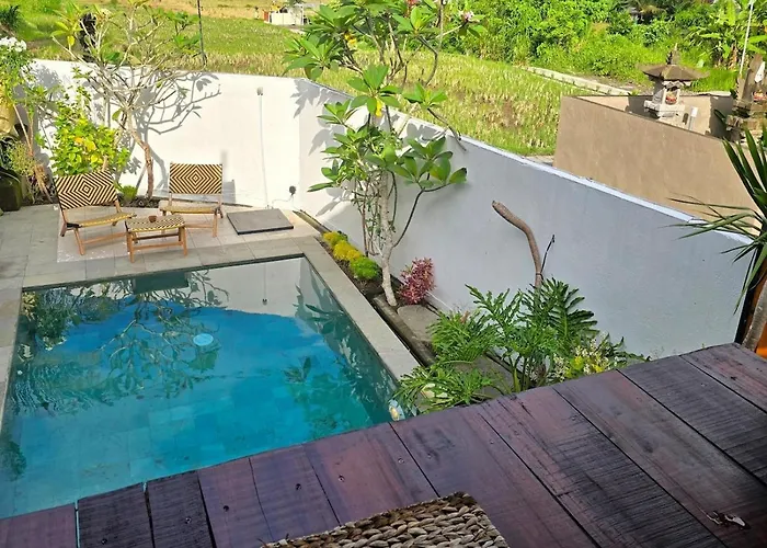2br Pool Rice Field View